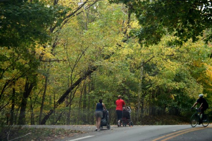 Eagle Creek Park  Trip Packages