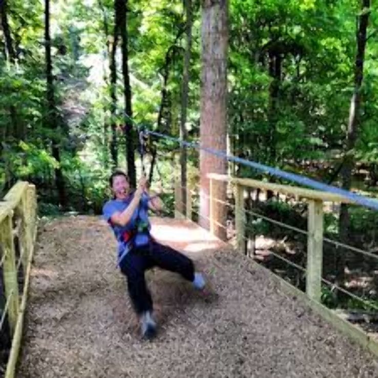 Go Ape  Trip Packages