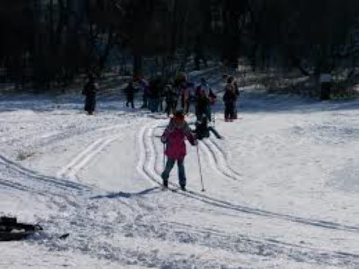 Elver Park Trip Packages