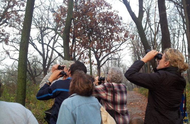 Turville Point Conservation Park Trip Packages