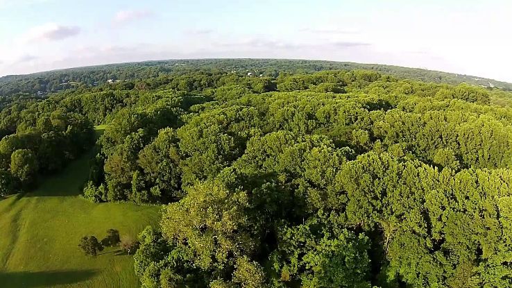 Rose Tree Park Trip Packages