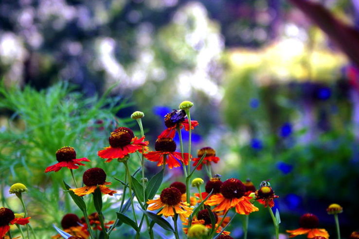 Ault Park Trip Packages