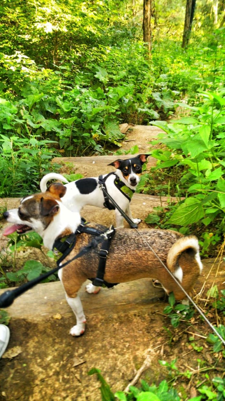 Alms Park Trip Packages