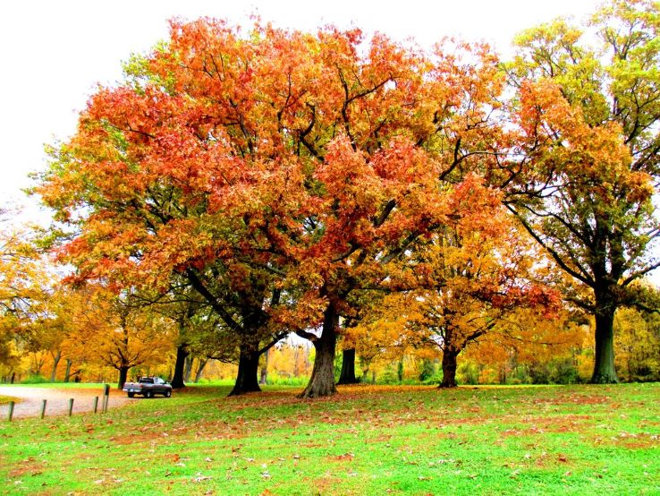 French Park Trip Packages