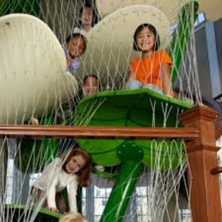The Magic House, St. Louis Childrens Museum Trip Packages