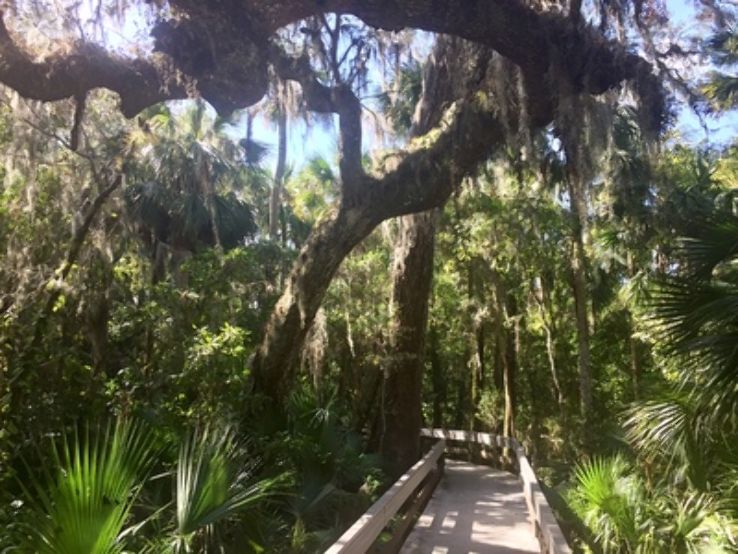 Erna Nixon Park Trip Packages