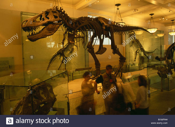 Dinosaur Museum Trip Packages