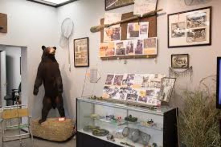 Branson Centennial Museum Trip Packages