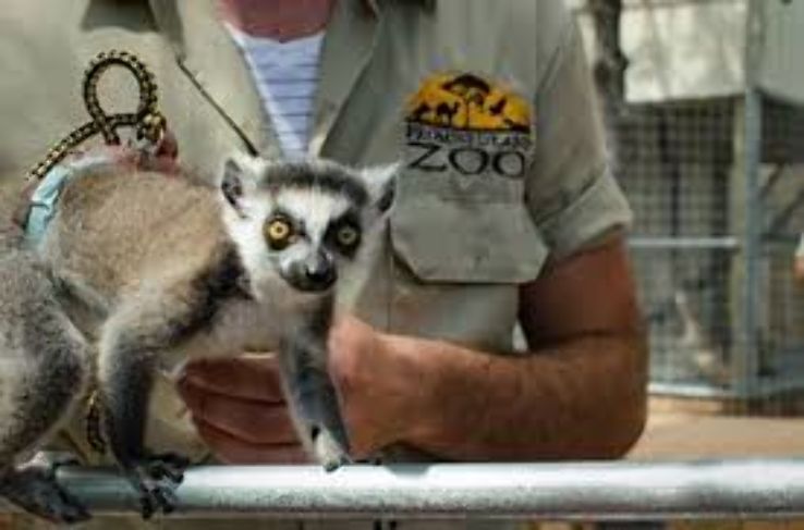 Bransons Promised Land Zoo Trip Packages