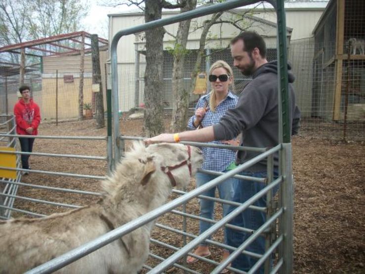 Bransons Promised Land Zoo Trip Packages