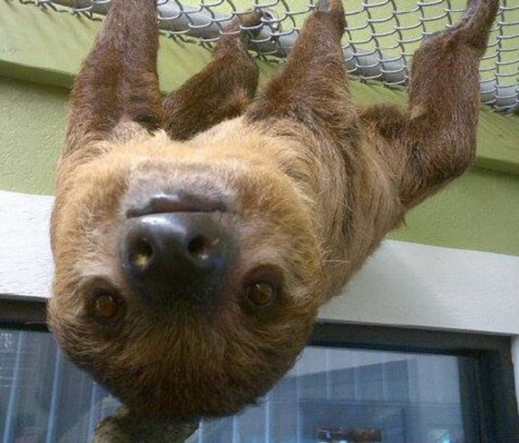 Bransons Promised Land Zoo Trip Packages