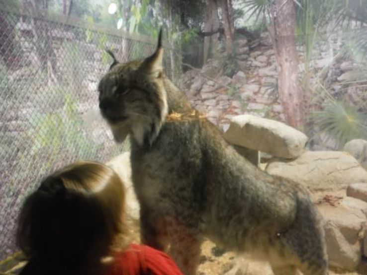 Bransons Wild World Trip Packages