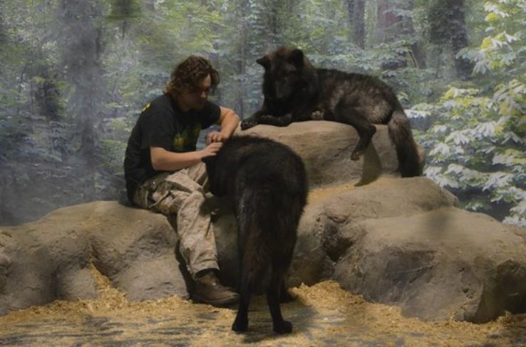 Bransons Wild World Trip Packages