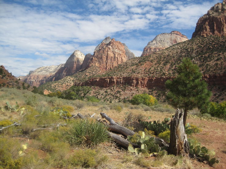 Zion National Park Trip Packages