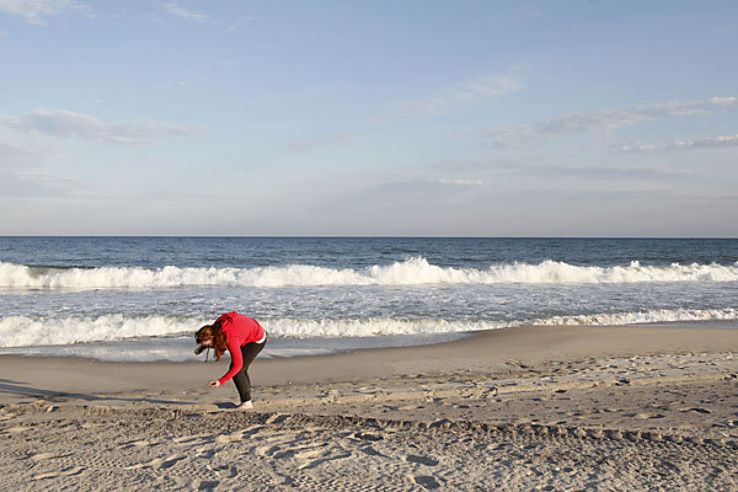 Coopers Beach Trip Packages