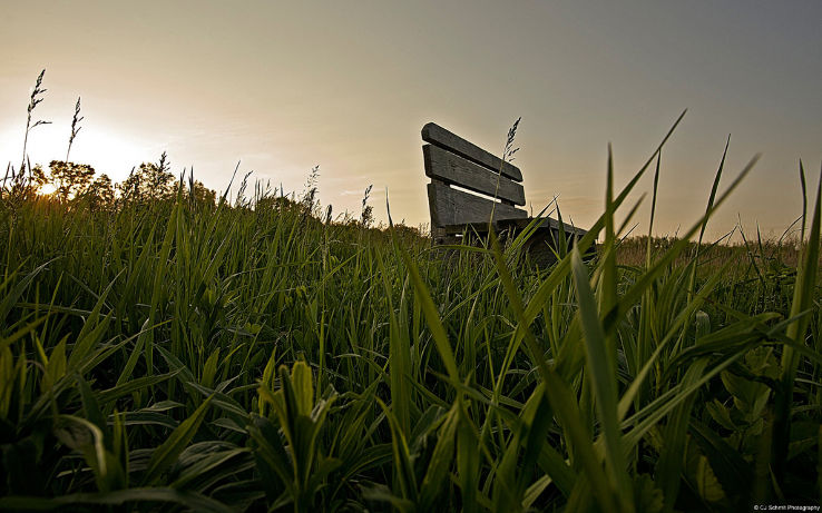 Havenwoods State Forest  Trip Packages