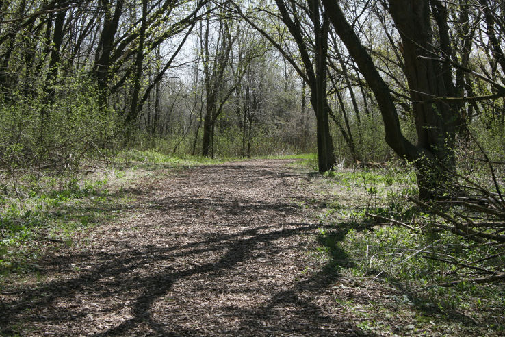 Havenwoods State Forest  Trip Packages