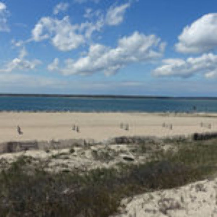 Shinnecock East Country Park Trip Packages