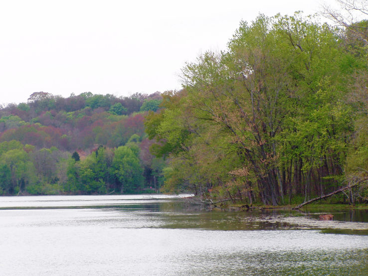 Radnor Lake State Natural Area Trip Packages
