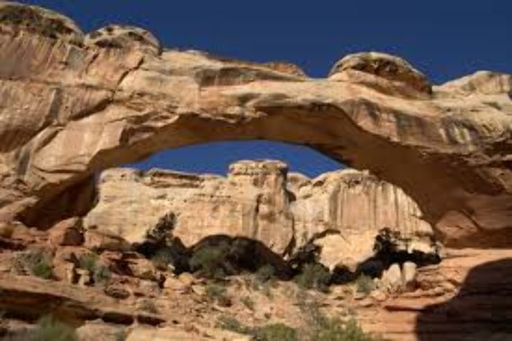 Capitol Reef National Park Trip Packages