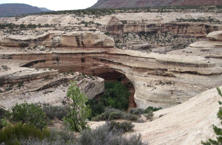 Natural Bridges National Monument Trip Packages