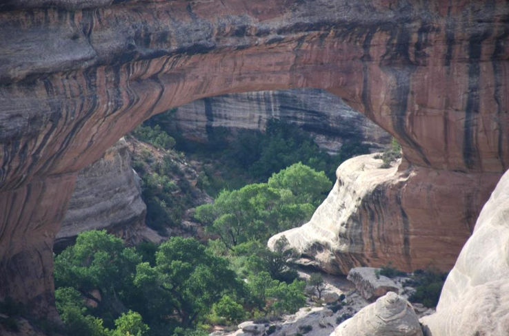 Natural Bridges National Monument Trip Packages