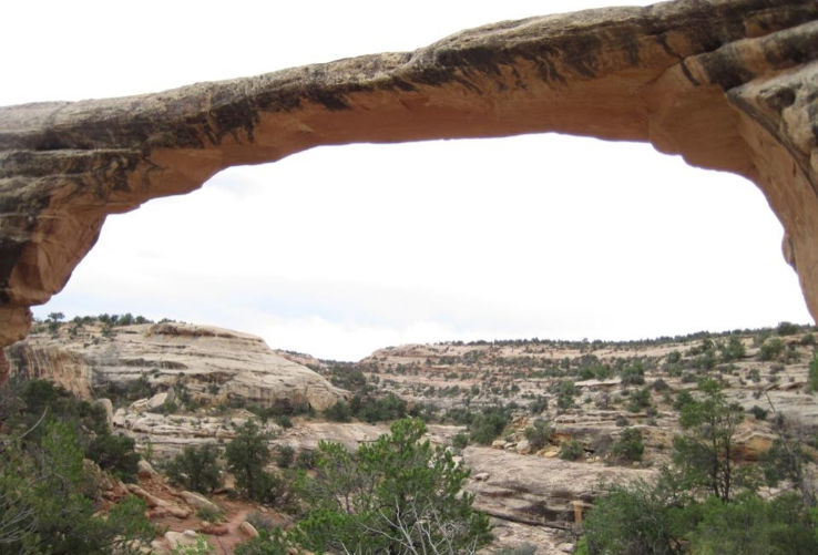 Natural Bridges National Monument Trip Packages
