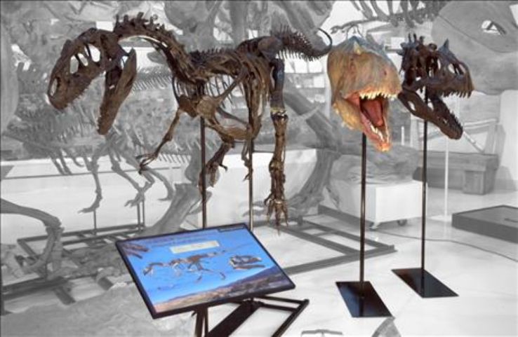 The Museum @ Black Hills Institute Trip Packages