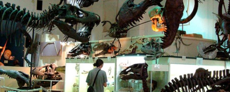 The Museum @ Black Hills Institute Trip Packages