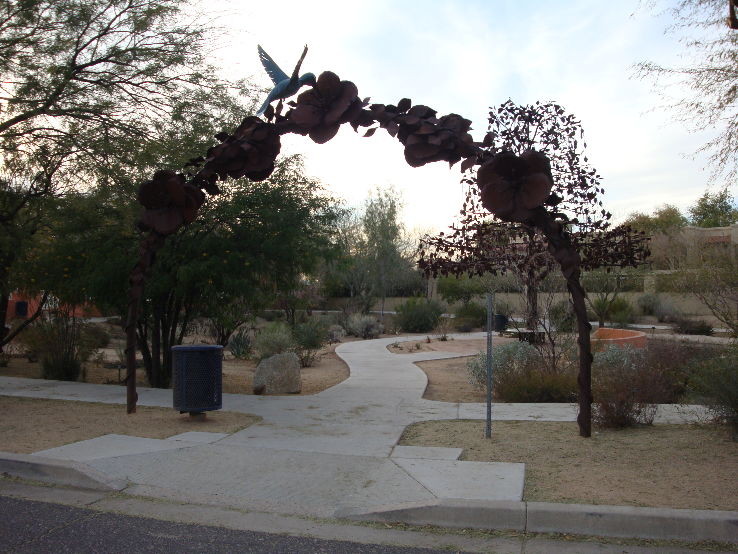 Desert Breeze Hummingbird Habitat Trip Packages