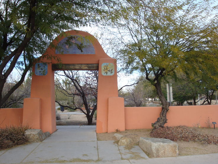 Desert Breeze Hummingbird Habitat Trip Packages