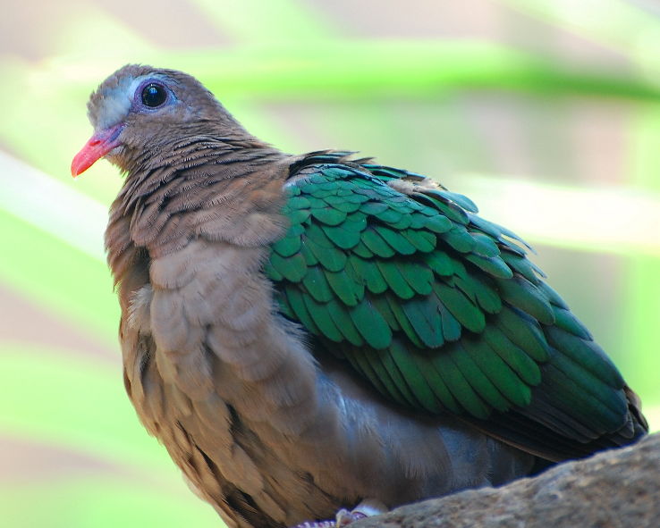 The National Aquarium Trip Packages