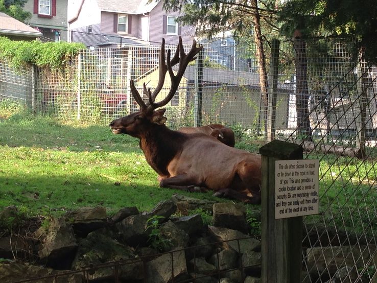 ZooAmerica North American  Trip Packages