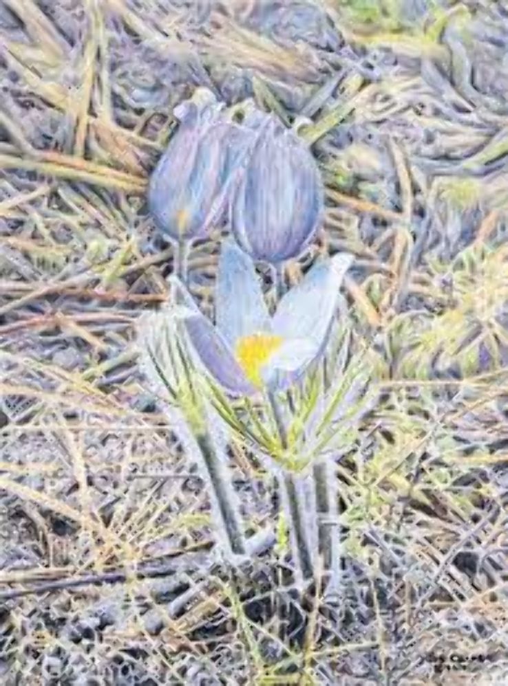 Jon Crane Gallery Trip Packages