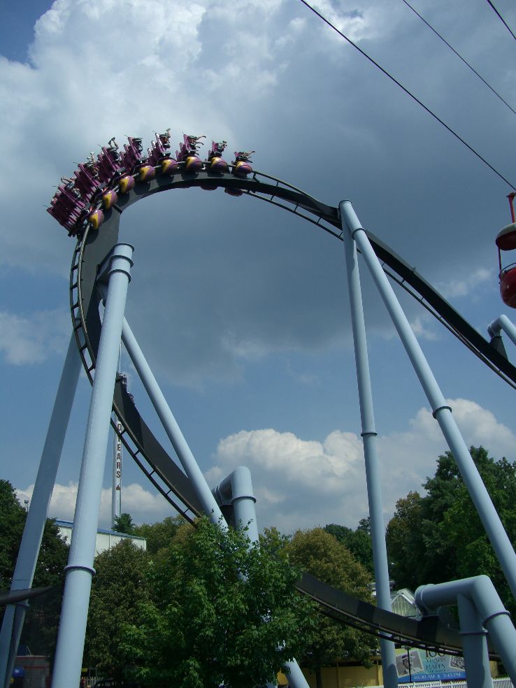 Great Bear  Trip Packages