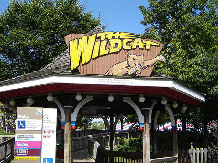 Wildcat Trip Packages