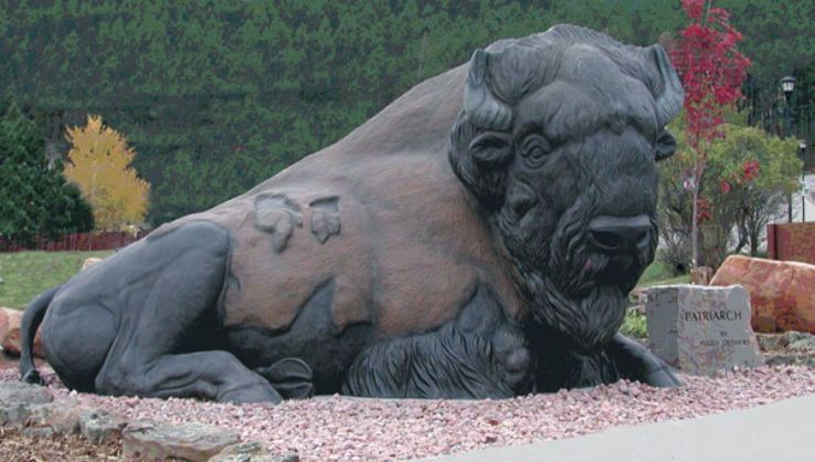 Dakota Nature and Art Gallery Trip Packages