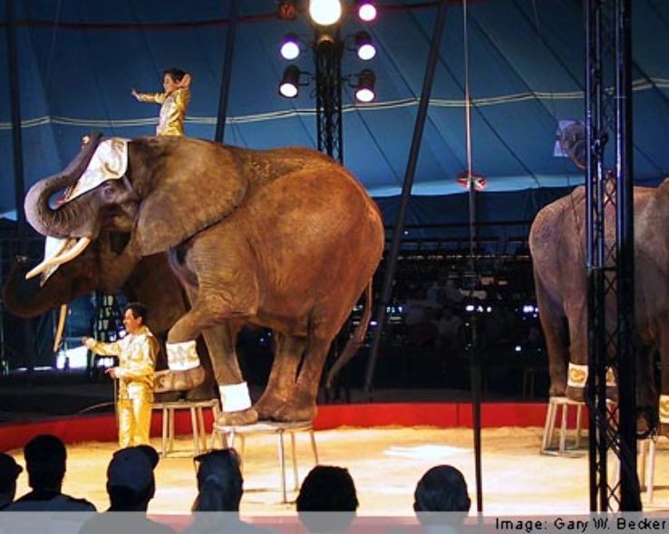 Circus World Museum Trip Packages