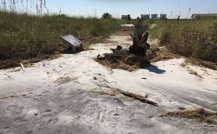 Gulf Islands National Seashore Trip Packages