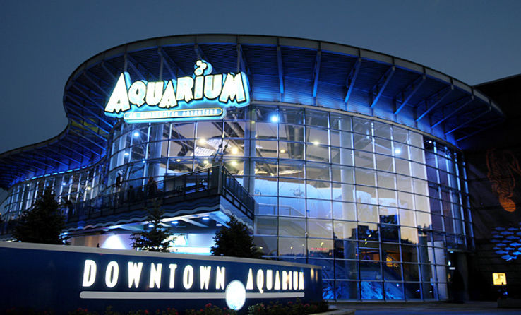 Downtown Aquarium  Trip Packages