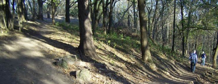 Take a Hike: Wisconsins Wonderful Trails Trip Packages