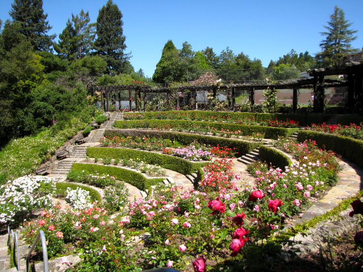 Berkeley Rose Garden Trip Packages