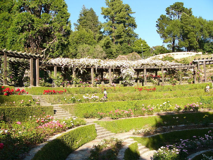 Berkeley Rose Garden Trip Packages
