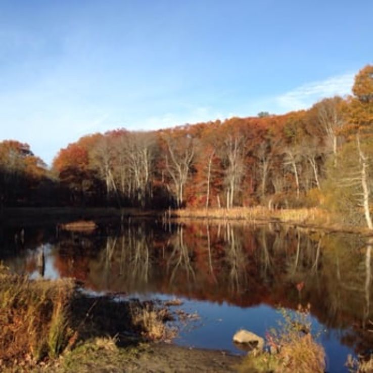 Blue Hills Reservation Trip Packages