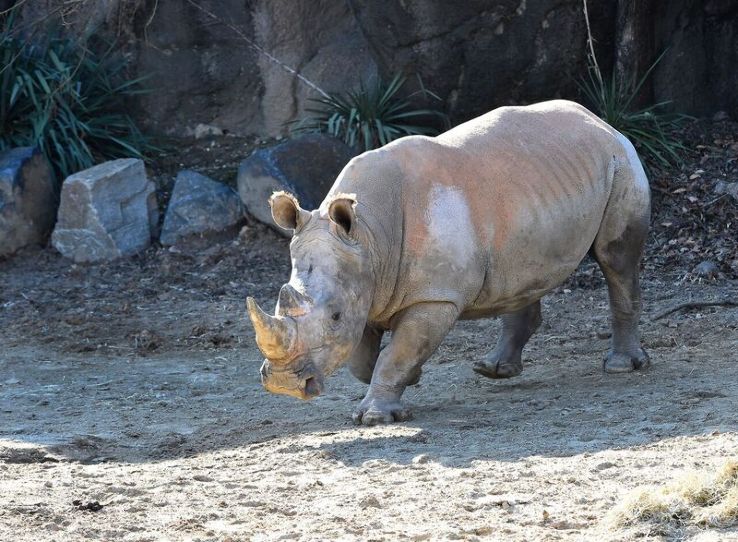 Maryland Zoo Trip Packages