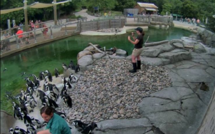 Maryland Zoo Trip Packages