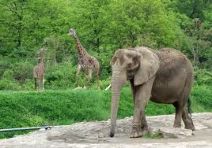 Pittsburgh Zoo Trip Packages