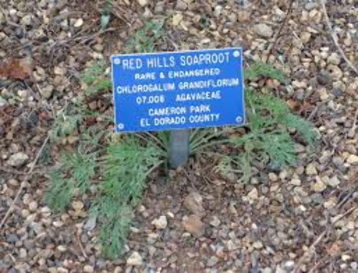 Regional Parks Botanic Garden Trip Packages