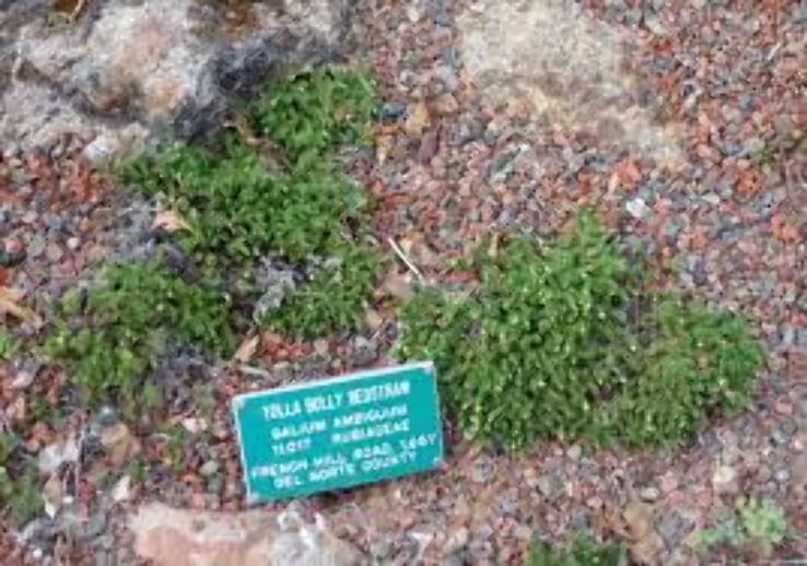 Regional Parks Botanic Garden Trip Packages