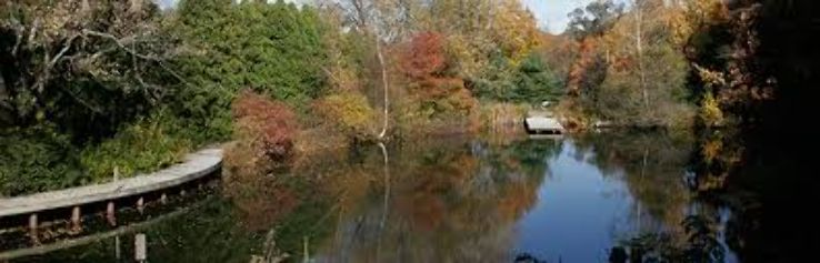 Blue Hills Trailside Museum Trip Packages